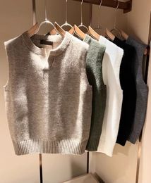 Gilet en cachemire col rond – Homme | LOROVELA